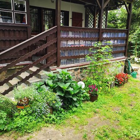 Dom Stare Czaple Villa Esterno foto