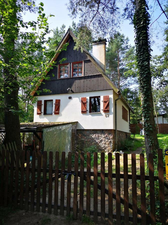 Dom Stare Czaple Villa Esterno foto