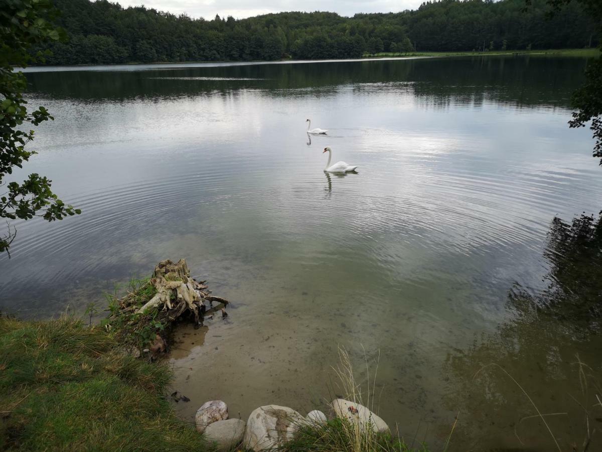 Dom Stare Czaple Villa Esterno foto